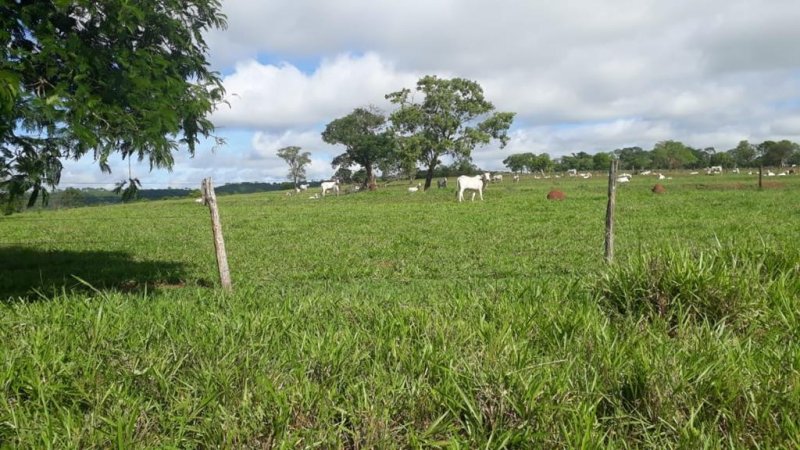 Fazenda - Venda - Zona Rural - Iturama - MG