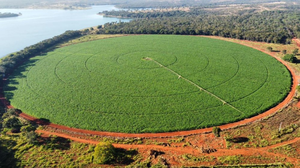 Fazenda - Venda - Zona Rural - Morada Nova de Minas - MG