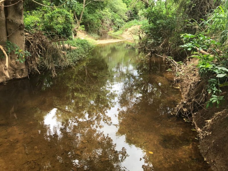 Fazenda - Venda - Zona Rural - Capito Enas - MG