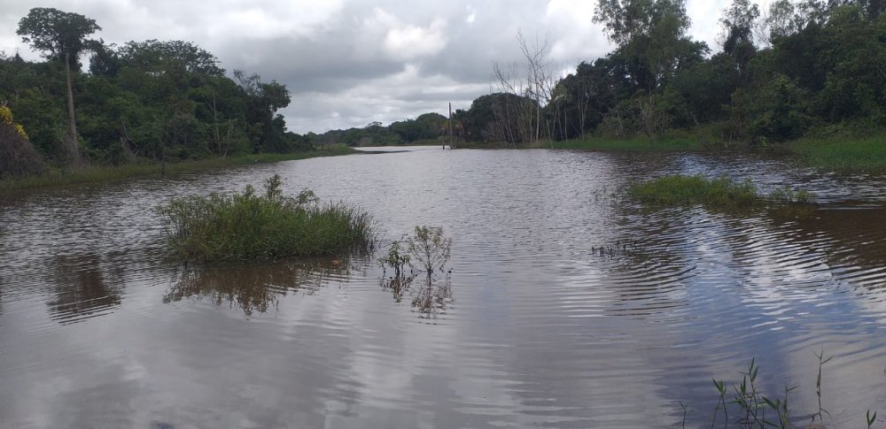 Fazenda - Venda - rea Rural de Curvelo - Curvelo - MG