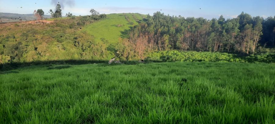 Área - Venda - Zona Rural - RitÁpolis - MG