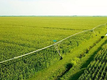 FAZENDA DUPLA APTIDO COM 10.500 HA EM SO FRANCISCO-MG