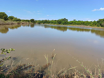 FAZENDA DUPLA APTI�O FORMADA 472 HA NO MORRO DA GAR�A -MG