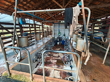 FAZENDA PECU�RIA COM 130 HA FORMADA EM FELIXL�NDIA-MG
