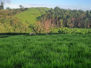 �REA DE DUPLA APTID�O COM 52,4 FORMADA EM RIT�POLIS - MG